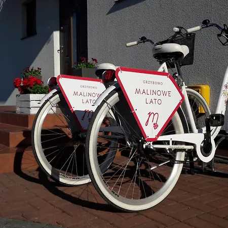 Malinowe Lato *